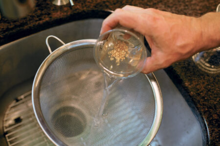 person holding plastic cup with tomato seeds in it over a fine sieve in a…